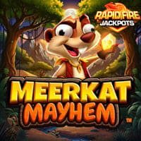 Meerkat Mayhem Rapid Fire in fb_newgames