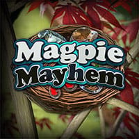 Magpie Mayhem in All Games