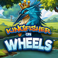 Kingfisher on Wheels in All Games