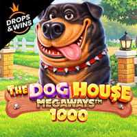 The Dog House Megaways 1000 in fb_newmegaways