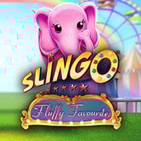 Slingo Fluffy Favourites in New Games